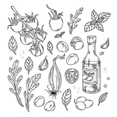 Caprese salad ingredients with tomatoes, basil, mozzarella, arugula, olives, garlic and olive oil vector line illustration