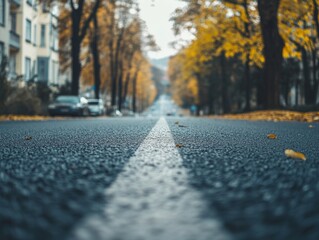 Fototapeta premium Road lined with trees and parked cars, bathed in autumn colors of leaves.