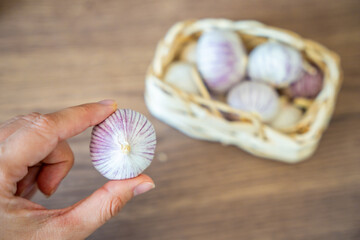 Female hand holding a head of Chinese single clove garlic with a basket full of garlic in the background. Natural food ingredient and kitchen preparation.