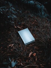 A light-grey book rests amidst dark, dry grass and foliage near a rock, suggesting solitude and contemplation in a natural setting