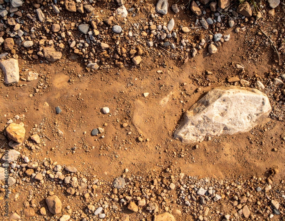 Poster overhead view of brown soil and gravel with embedded rocks in harsh sunlight