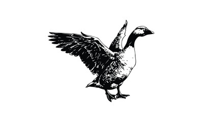 Black and white illustration of a goose with wings outstretched. Vector retro hand drawn illustration.