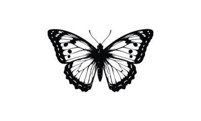 Fototapeta premium Intricate black and white butterfly illustration with detailed patterns. Vector retro hand drawn illustration.