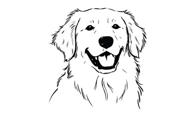 Line art of happy golden retriever dog with lively expression. Vector retro hand drawn illustration.