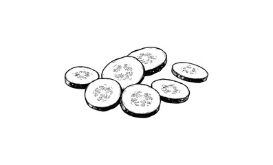 Black and white sketch of sliced cucumber pieces with detailed seeds on white background. Vector retro hand drawn illustration.