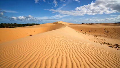 Vast sandy expanse with a gentle dune