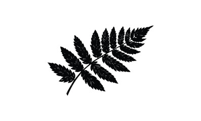 Silhouette of a detailed fern leaf illustration on white background. Vector retro hand drawn illustration.