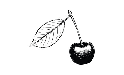 Monochrome cherry with leaf line art illustration in bold outline. Vector retro hand drawn illustration.