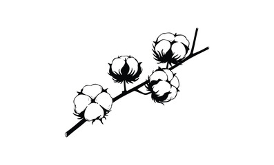 Black and white cotton plant illustration with branch and bolls. Vector retro hand drawn illustration.