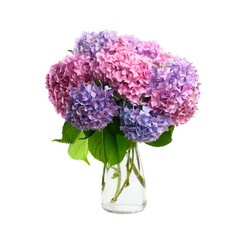 Blue and pink hydrangea flowers bouquet in a glass vase isolated on white background