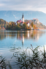 Bled lake in fall surrounded by Julian Alps and colorful trees, with church on island. Picturesque...