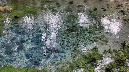 Natural Beauty at Shirakawa Spring March 26 2025