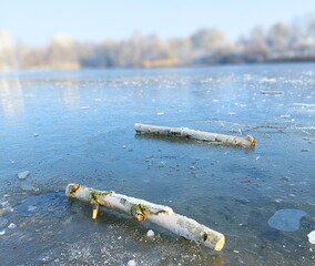 Frozen Stillness