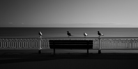 black and white minimalist photo with a black and white background, people on the pier