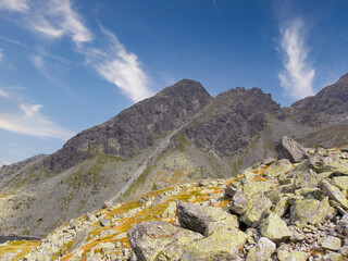 summer on the mountain trails