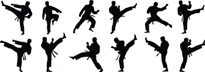Silhouette martial artists performing karate kick poses, black belt training, dynamic karate actions, vector illustration for design and animation projects