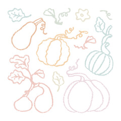 Collection of different pumpkins. Autumn season vector illustration set. Simple elements for scrapbooking isolate on a white.