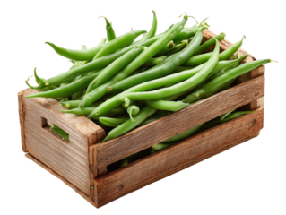 A vibrant assortment of freshly picked green beans overflows from a rustic wooden crate