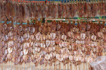 Roast dried squid hung on squid hanger. Some are skewered with sticks for sale. Dried Squid is a processed squid that is dried in sunlight as a food preservation method. Is popular snack in Thailand.
