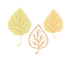 Falling linden leaves. Vector line illustration in simple style on white background.