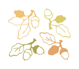 Cute set of autumn elements with oak leaves and acorns in a simple style. Delicate autumn vector print isolate on a white background.