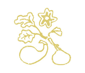 Simple pumpkins harvest outline. Autumn plant print. Vector illustration on a white.