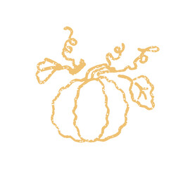 Simple pumpkins harvest outline. Autumn plant print. Vector illustration on a white.