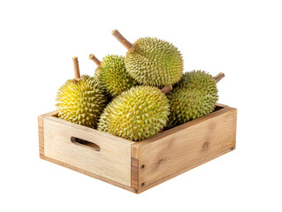 An arrangement of ripe durian fruits nestles within a rustic wooden box