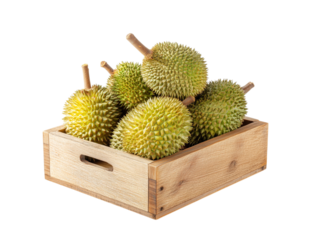 An arrangement of ripe durian fruits nestles within a rustic wooden box