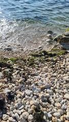 A rocky shoreline with smooth pebbles and patches of green seaweed. Gentle waves lap at the stones, creating a serene coastal scene.