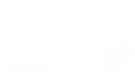 Clean, minimalist white texture background. Perfect for websites, presentations, and designs.