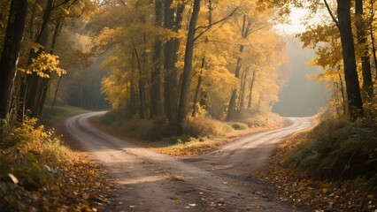 Naklejka premium Autumn Forest Pathway Splitting into Two Directions
