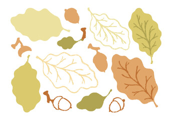 Autumn leaves set of elements in minimalist style, linear and flat designs. Hello autumn sticker collection. Oak leaves and acorns in simple style.