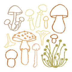 Simple mushrooms outline collection. Autumn forest plants print. Fall hand drawn retro vector illustration set.