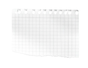 sheet of checkered paper torn out isolated 