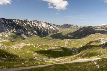 mountain landscape in the summer National Park. Montenegro. Durmitor. 