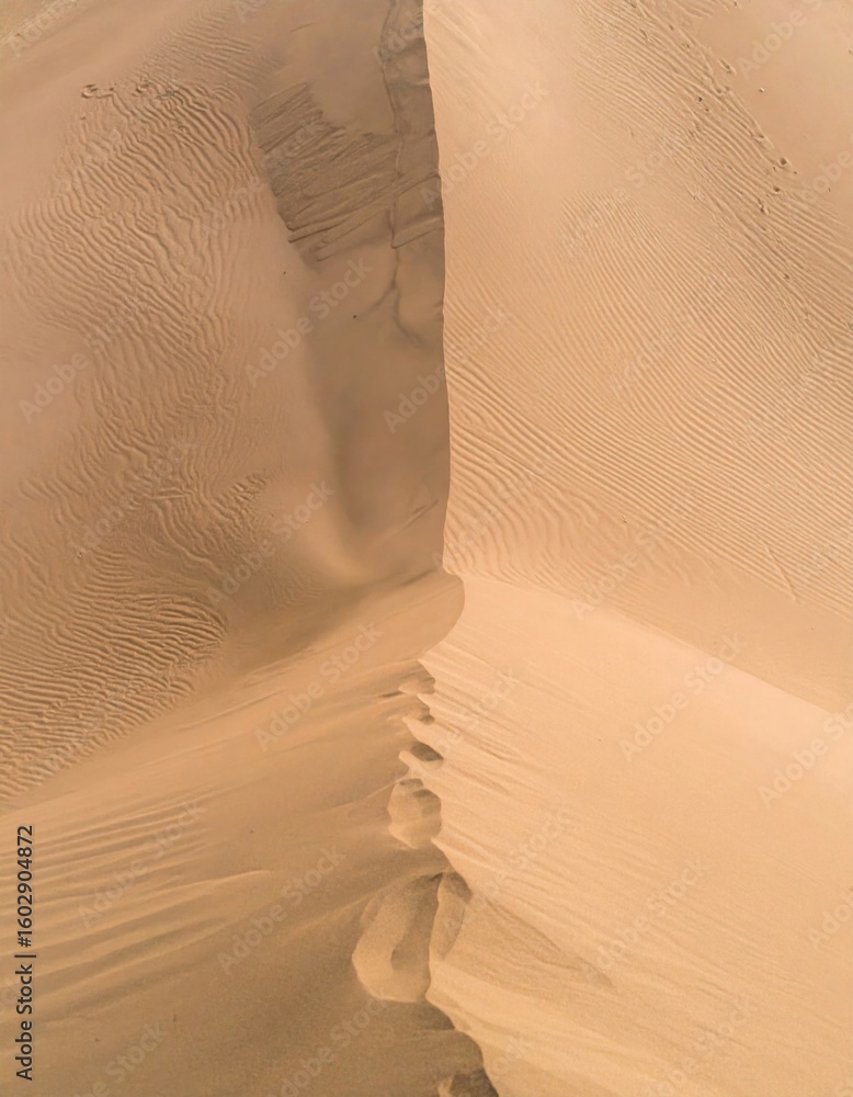 Poster abstract sand dune landscape with golden texture and flowing patterns