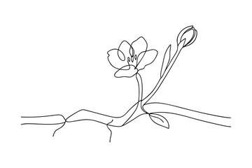 Singleline drawing of blooming flower, stem, and roots