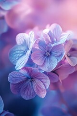 Obraz premium Close-up image of flower petals glistening with water droplets against a blurred background.