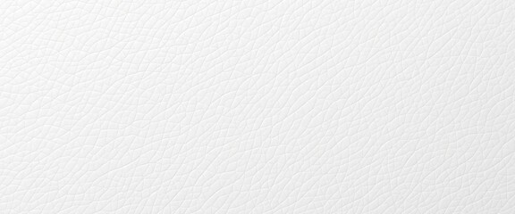 Smooth, unblemished white leather surface; fine grain visible, skin, illustration