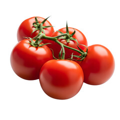 Fresh red tomatoes on the vine isolated on transparent background