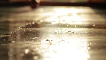 Janmashtami Celebration Festive Decorations