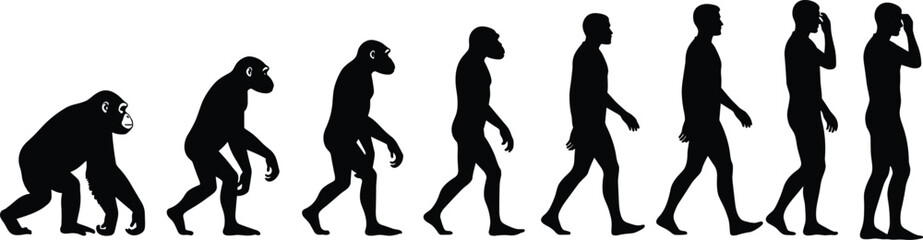 Human evolution silhouette stages from primates to modern man, educational development vector, black and white anthropology concept, biology illustration art