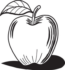 vector illustration of an apple
