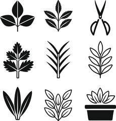 Collection of botanical leaf and plant icons in a minimalist silhouette style