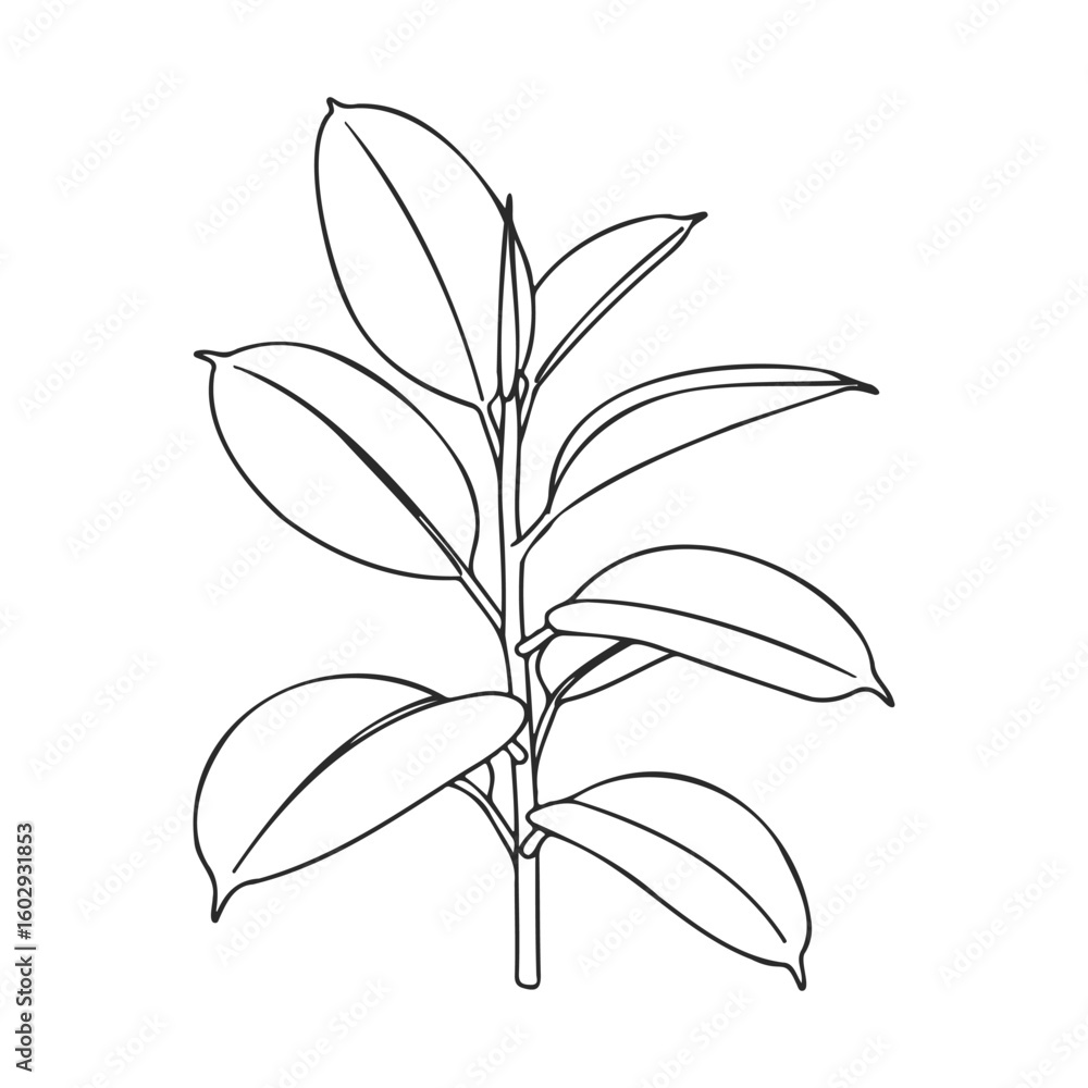 Poster simple line drawing of a leafy plant with white background – stock vector icon in line style