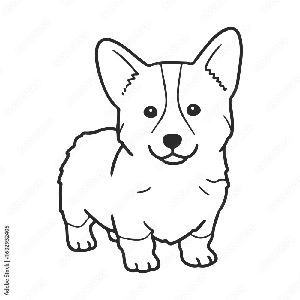 Poster outline drawing of a corgi puppy with large ears and happy expression – stock vector icon in line st