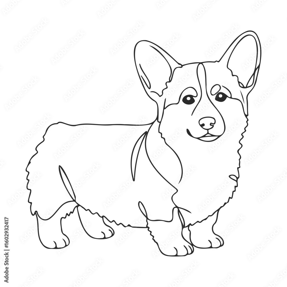 Poster outline of welsh corgi with floppy ears and short legs in standing pose – stock vector icon in line 