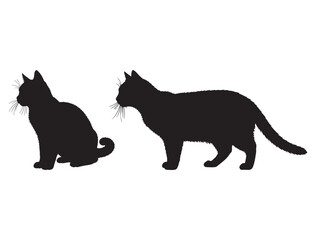 AMERICAN SHORT HAIR CAT SILHOUETTE
