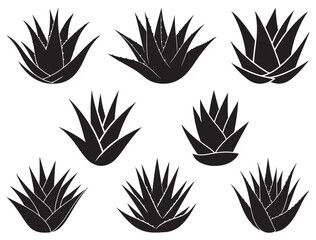 ALOE VERA SILHOUETTE.